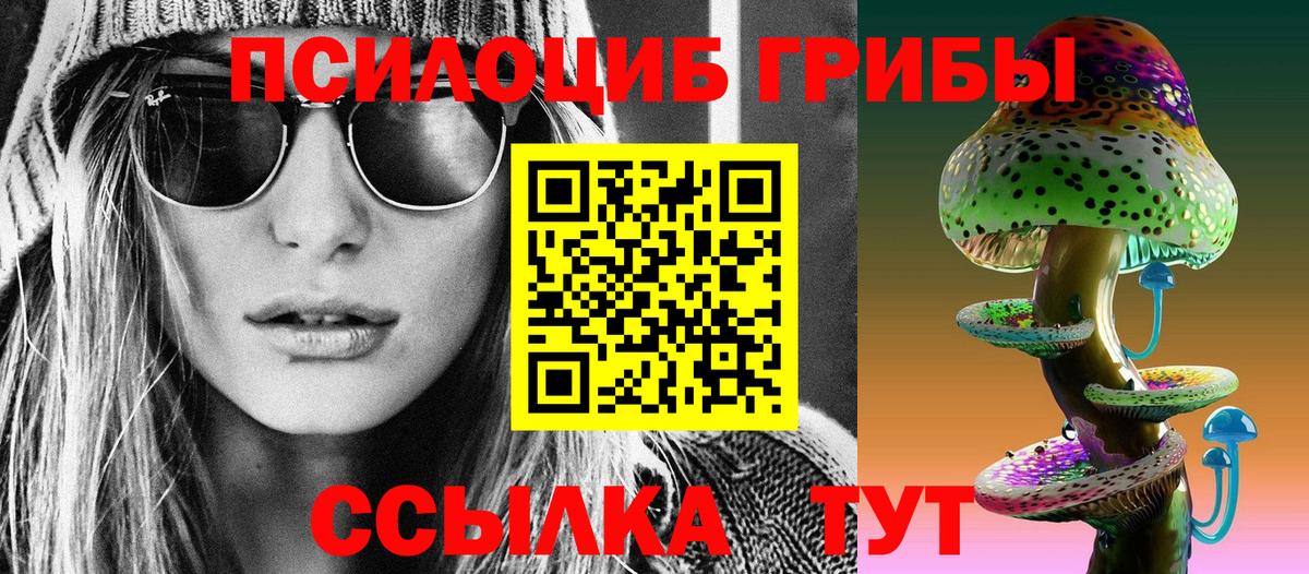 Псилоцибиновые грибы Cubensis Кириши
